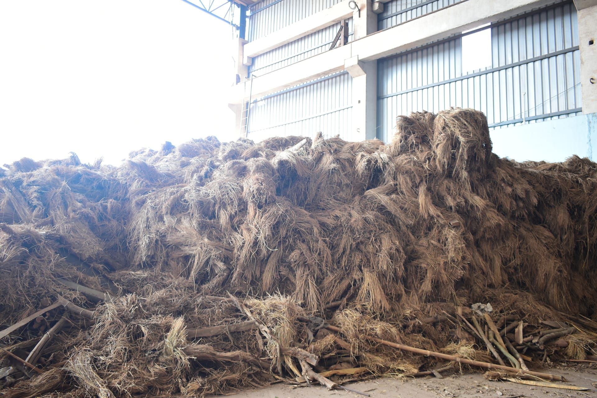 Raw biomass feedstock ready for global energy supply chains