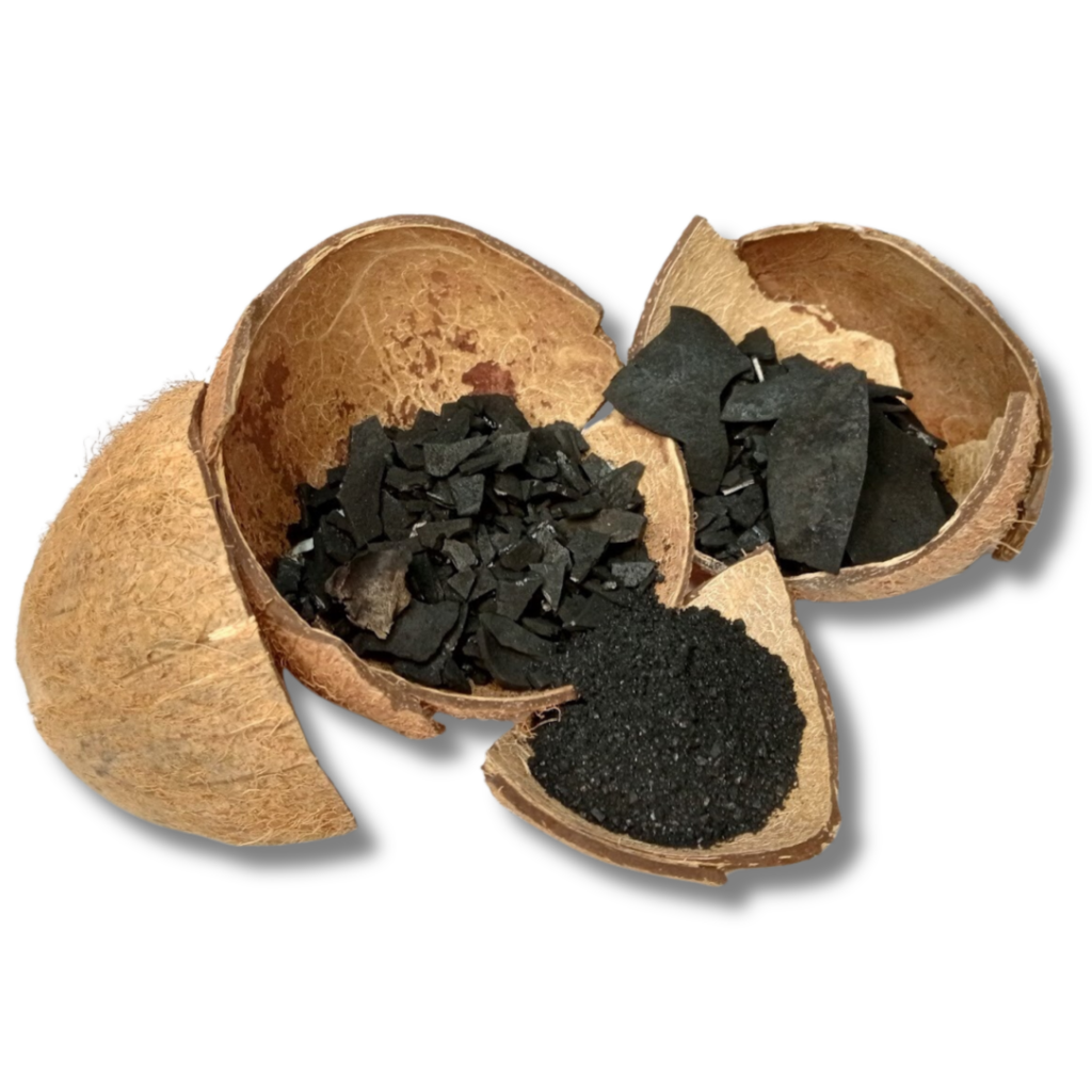 Coconut Shell Charcoal