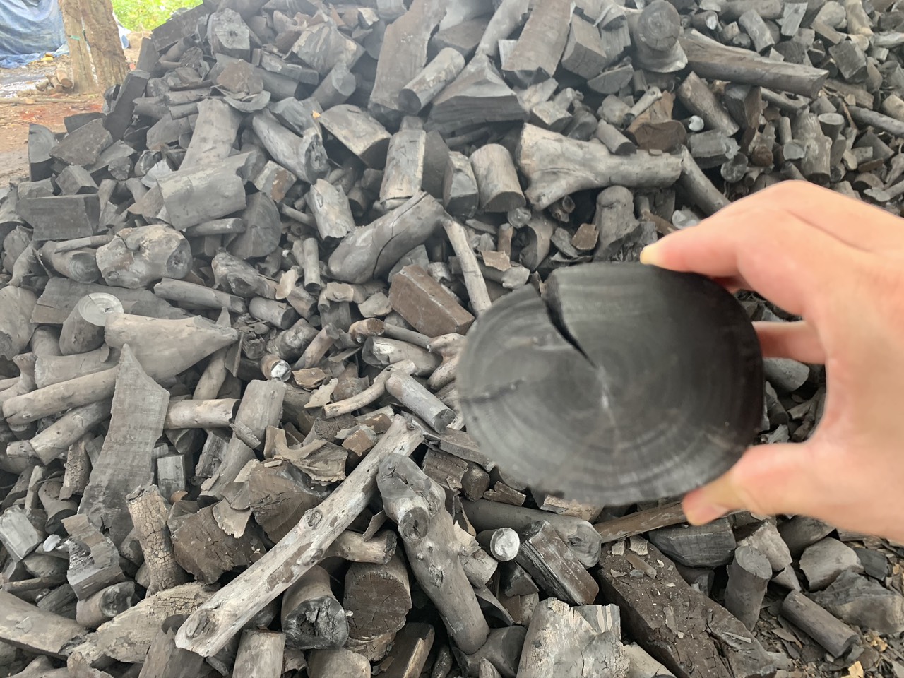 Khaya Charcoal