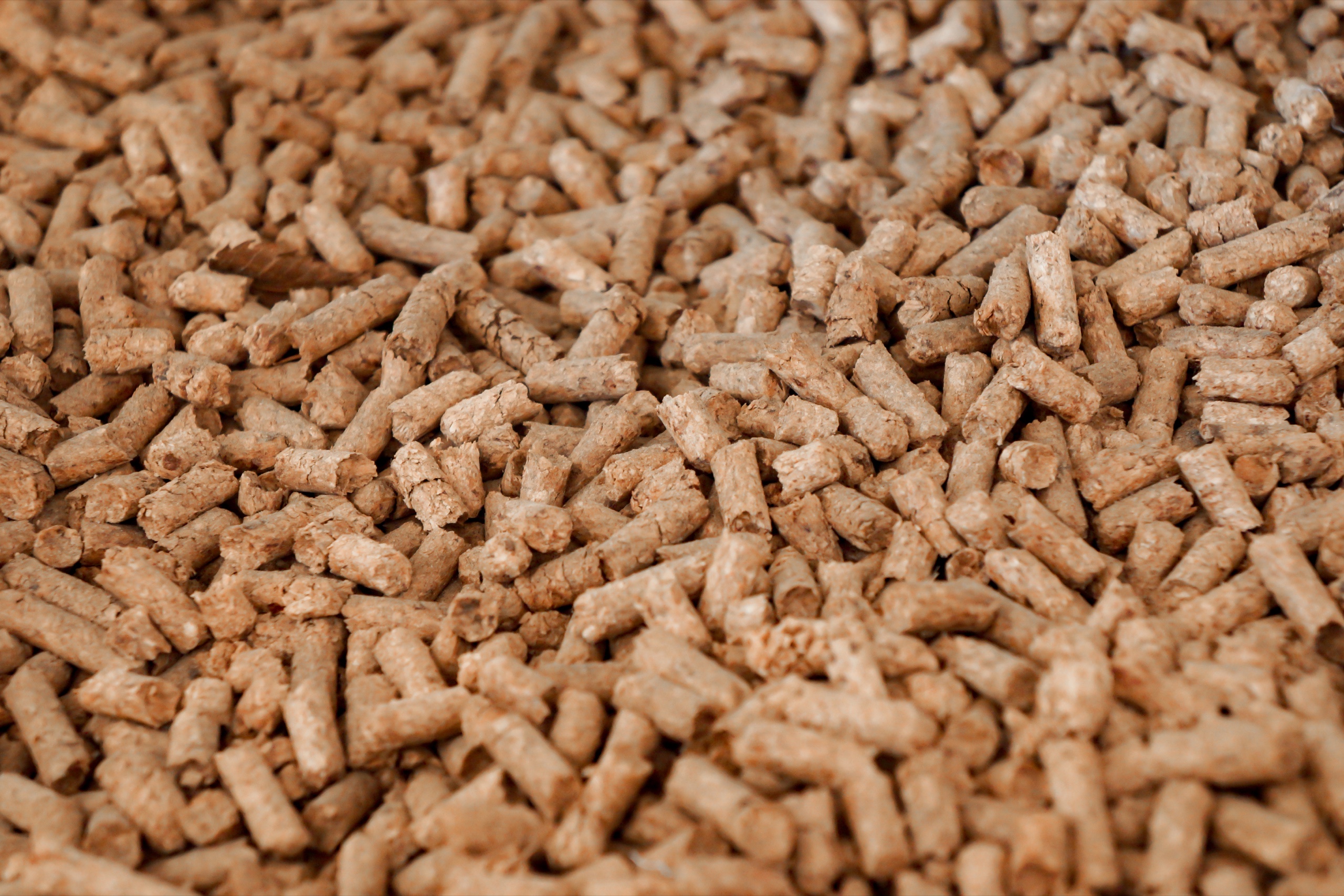Industrial wood pellet stockpile used as renewable boiler fuel