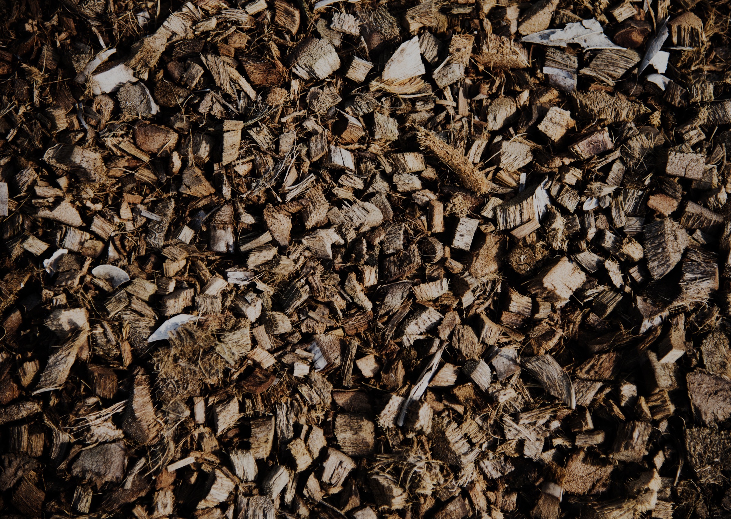 Coconut husk and biomass feedstock