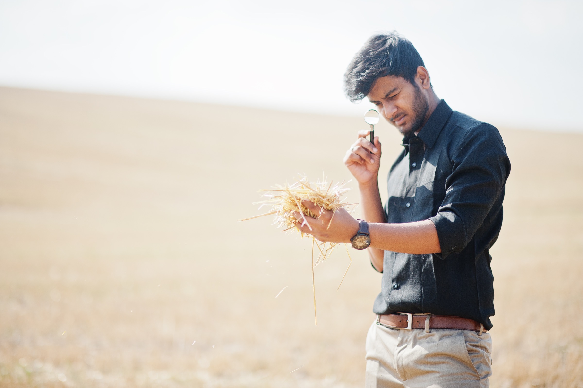 South Asian agronomist inspecting a wheat field