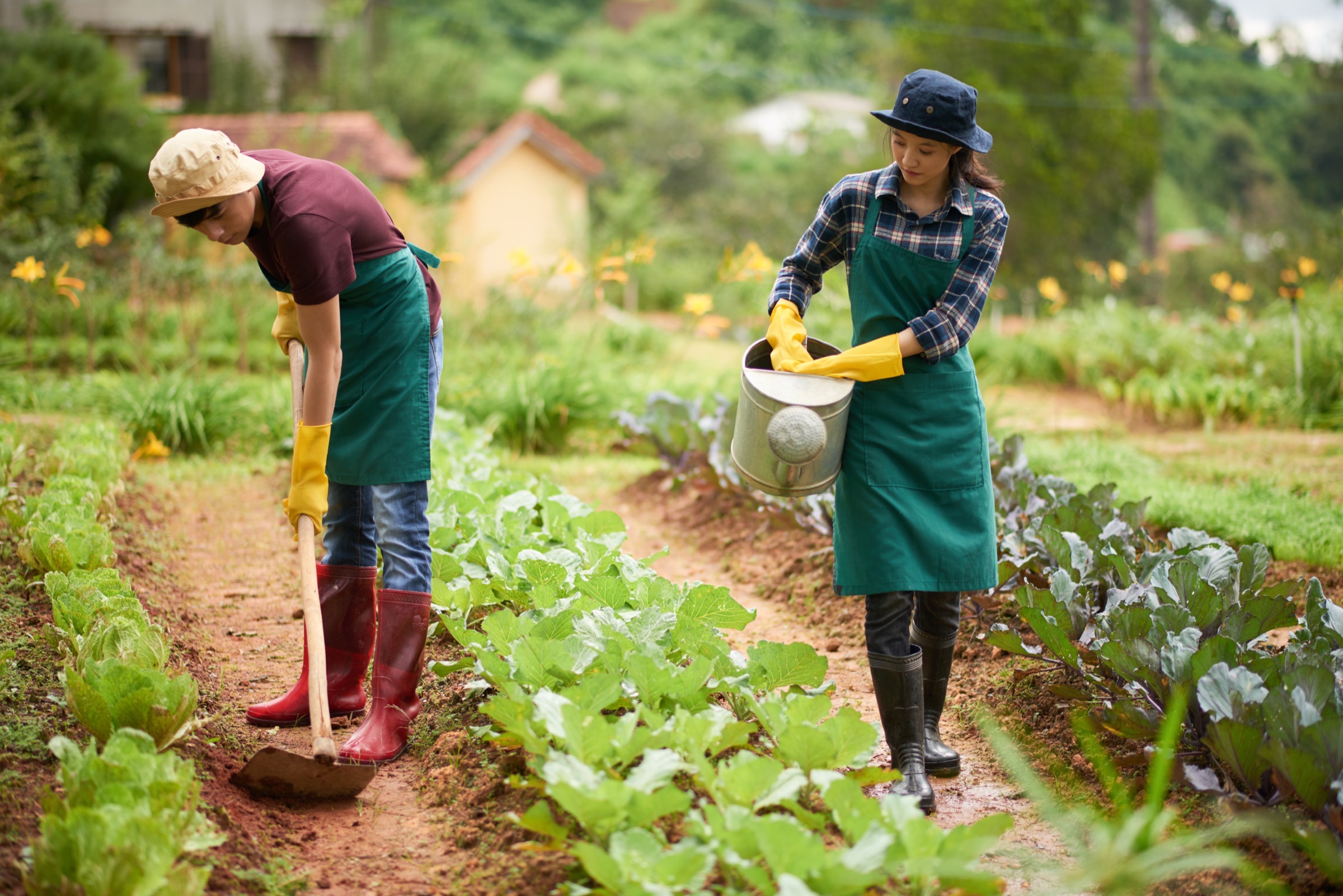 Rural farmers cultivating crops — community livelihoods