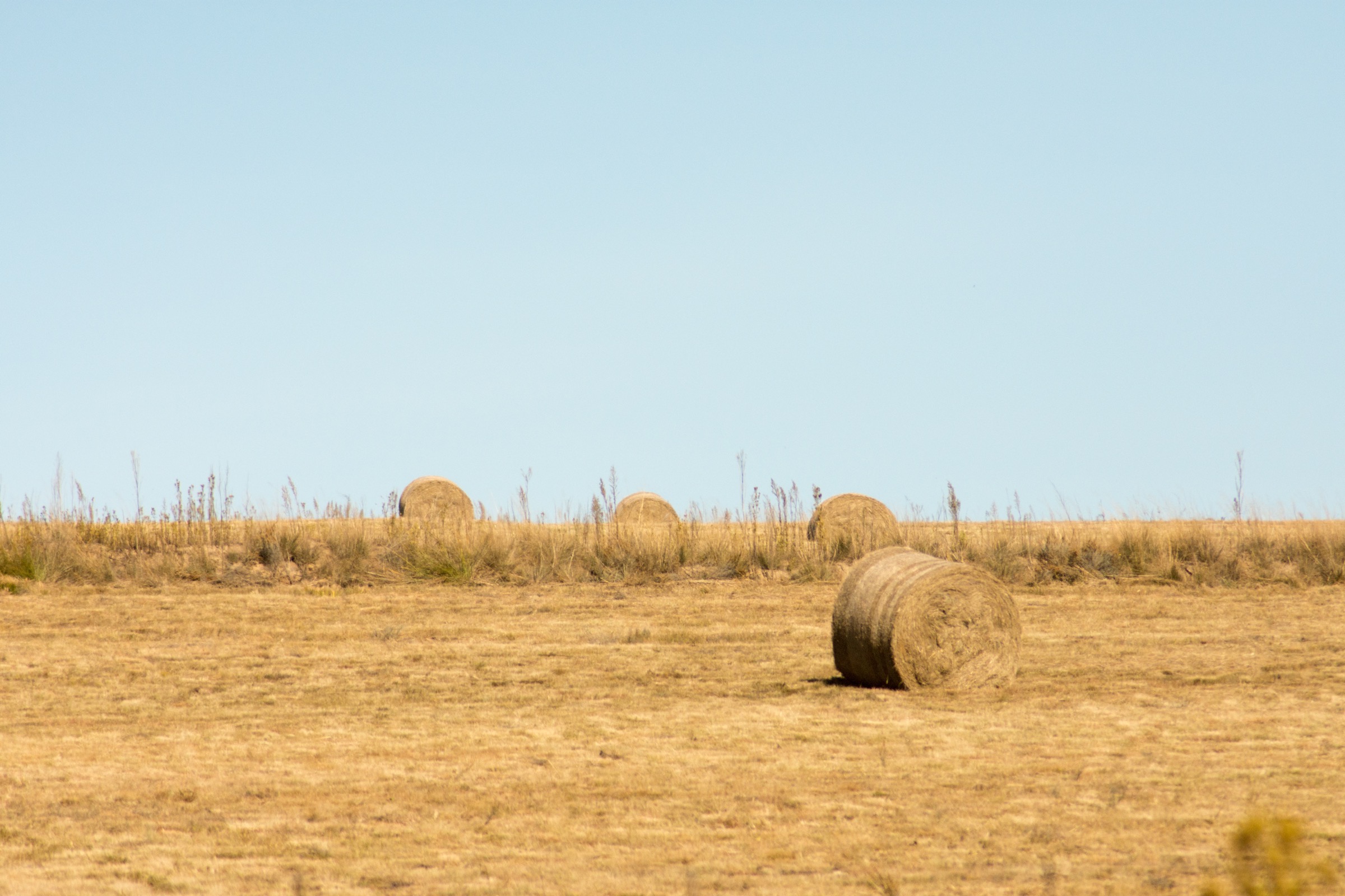 Agricultural waste recovered for circular biomass systems