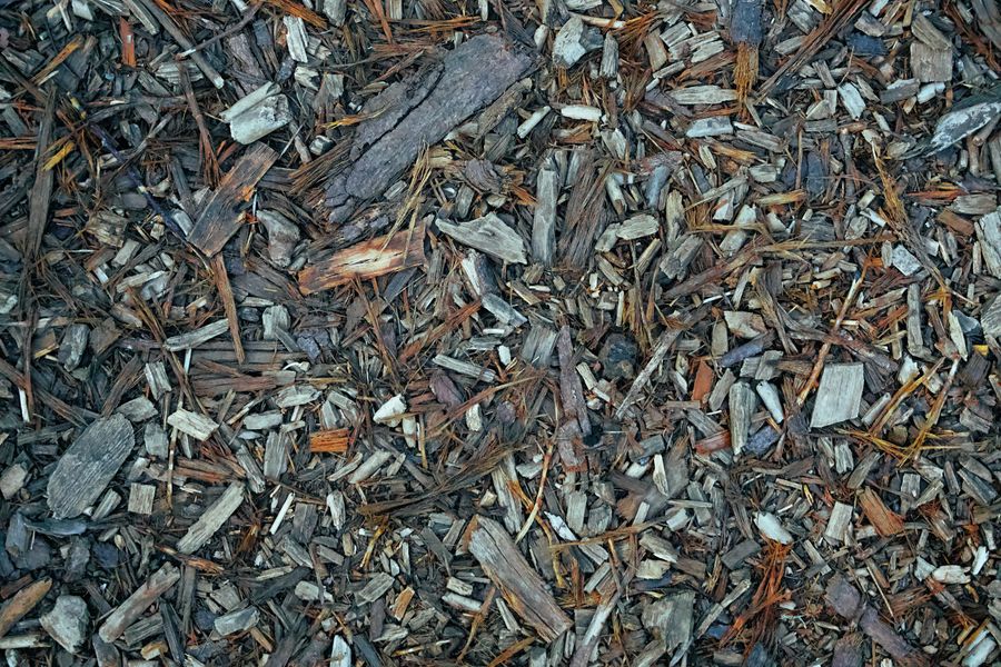 Wood chips stored at raw material yard