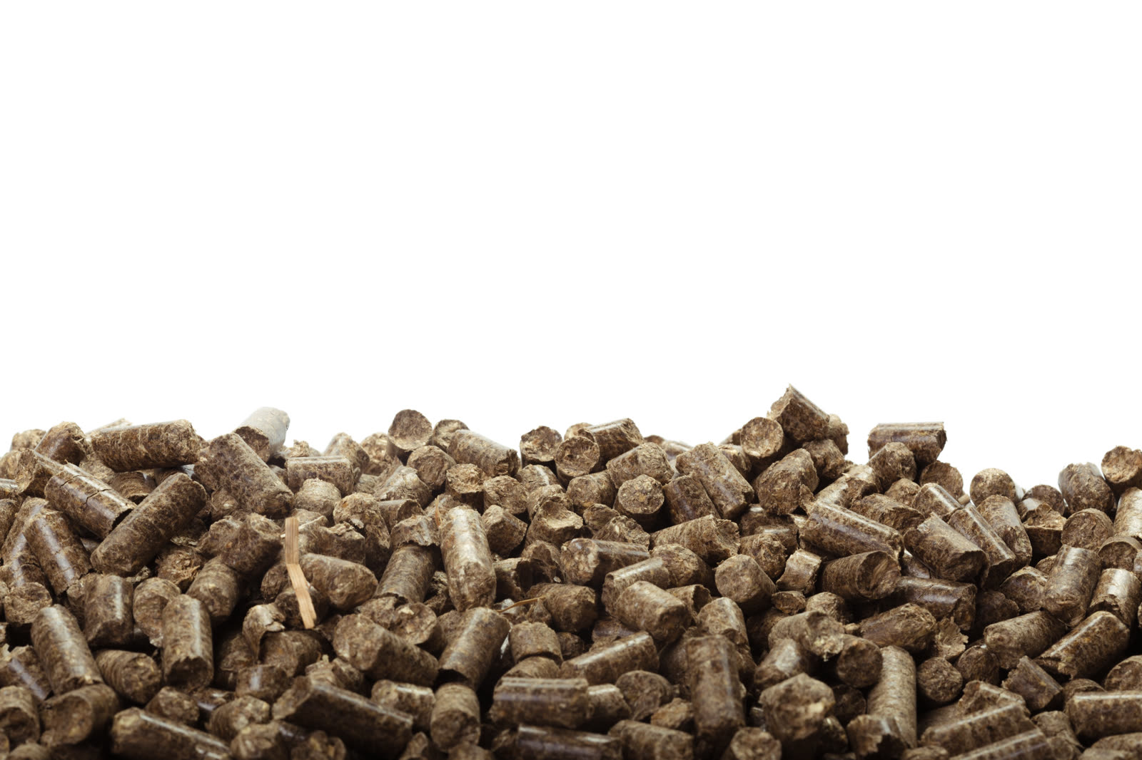 Close-up of wood biomass pellets for industrial fuel